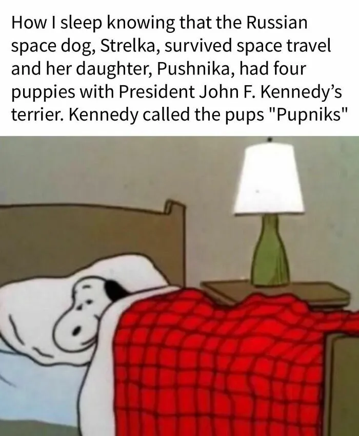 30 History Memes To Show The Irony In Humankind (New Pics)