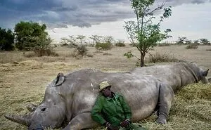 30 Random And Interesting Facts And Curiosities Shared On This Dedicated IG Page