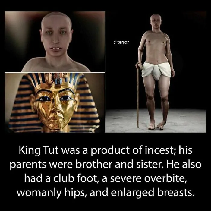 This Instagram Account Shares Weird Facts And Here Are The 50 Of The Creepiest Ones