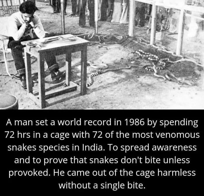 This Instagram Account Shares Weird Facts And Here Are The 50 Of The Creepiest Ones