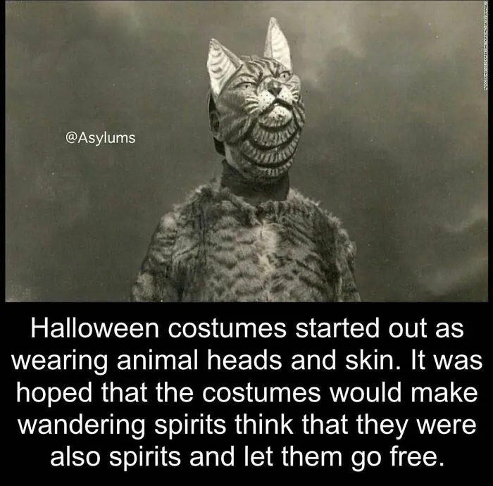 Creepy vintage Halloween costume with animal head, reflecting weird historical facts about spirits and traditions.