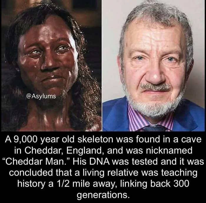 This Instagram Account Shares Weird Facts And Here Are The 50 Of The Creepiest Ones