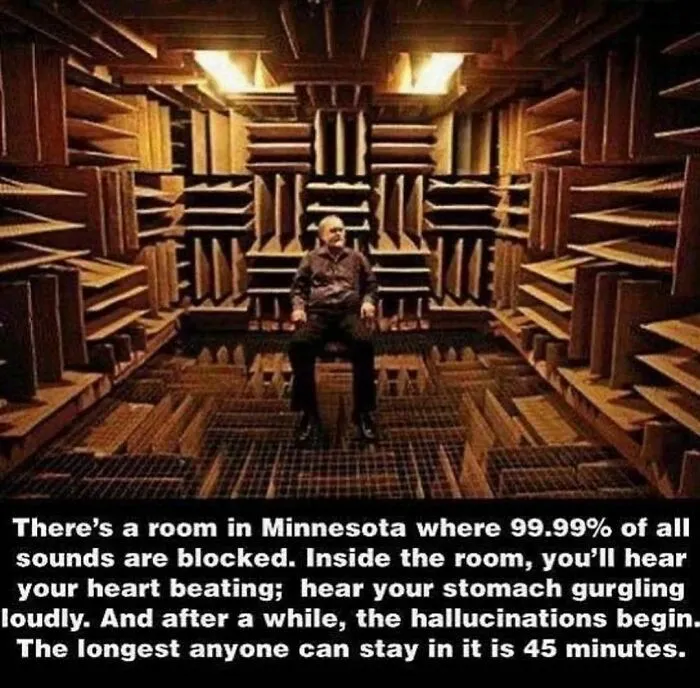 This Instagram Account Shares Weird Facts And Here Are The 50 Of The Creepiest Ones