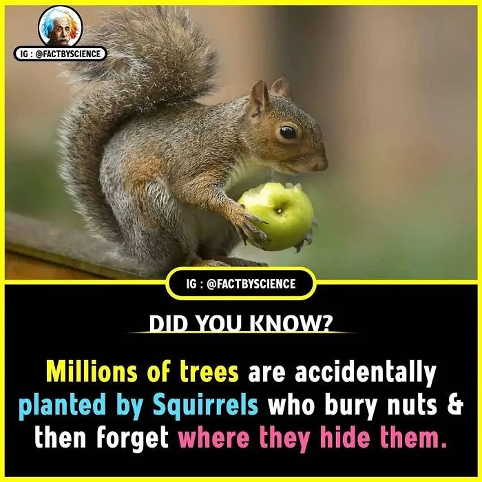 50 Cool And Interesting Facts About The World That May Be New To You