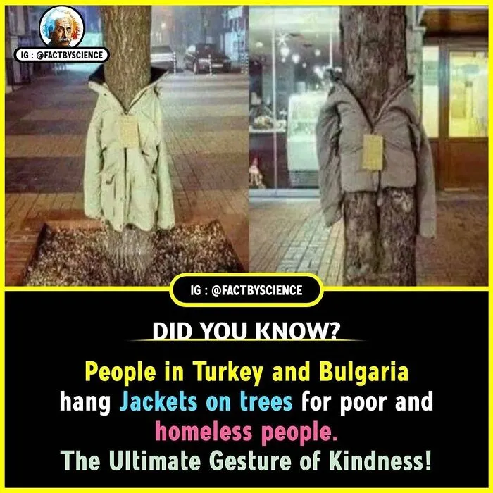 50 Cool And Interesting Facts About The World That May Be New To You