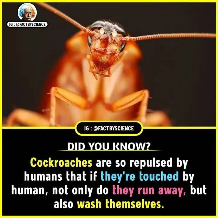 50 Cool And Interesting Facts About The World That May Be New To You