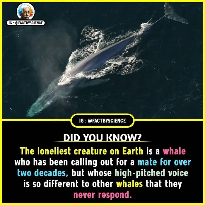 50 Cool And Interesting Facts About The World That May Be New To You
