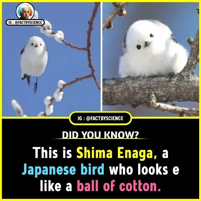 50 Cool And Interesting Facts About The World That May Be New To You