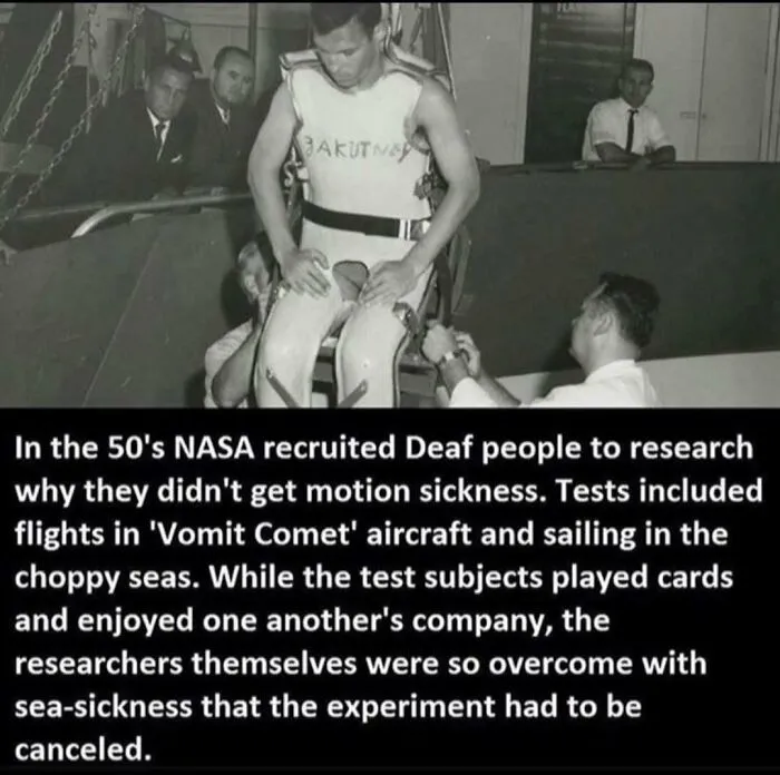 This Instagram Account Shares Weird Facts And Here Are The 50 Of The Creepiest Ones