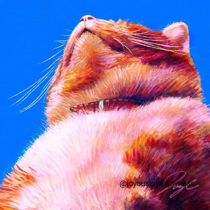 "Chonk"