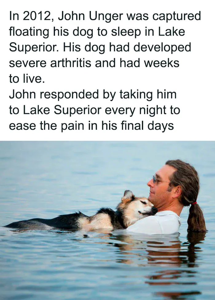 50 Hilarious Pics That Prove Why Dogs Are Man’s Best Friend