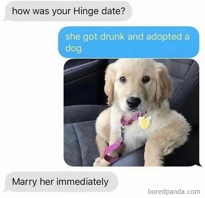 50 Dog Memes That Are Adorable And Funny At The Same Time