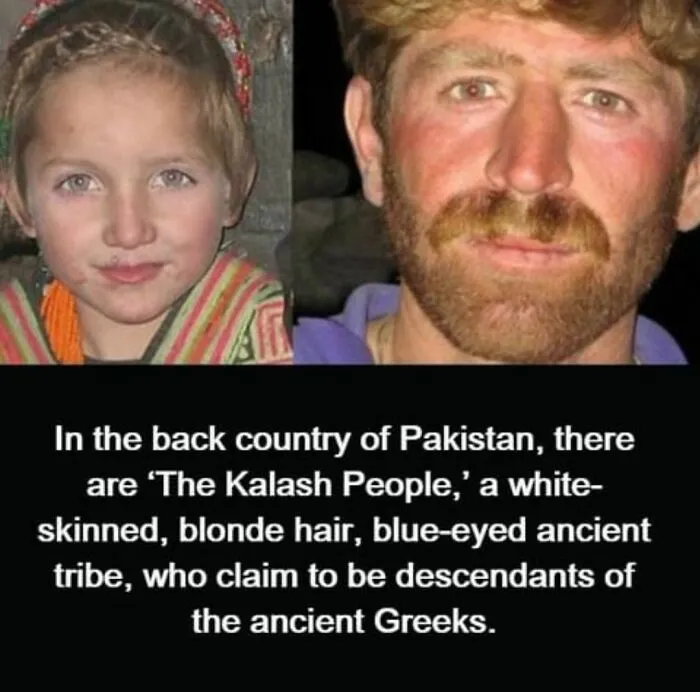 This Instagram Account Shares Weird Facts And Here Are The 50 Of The Creepiest Ones