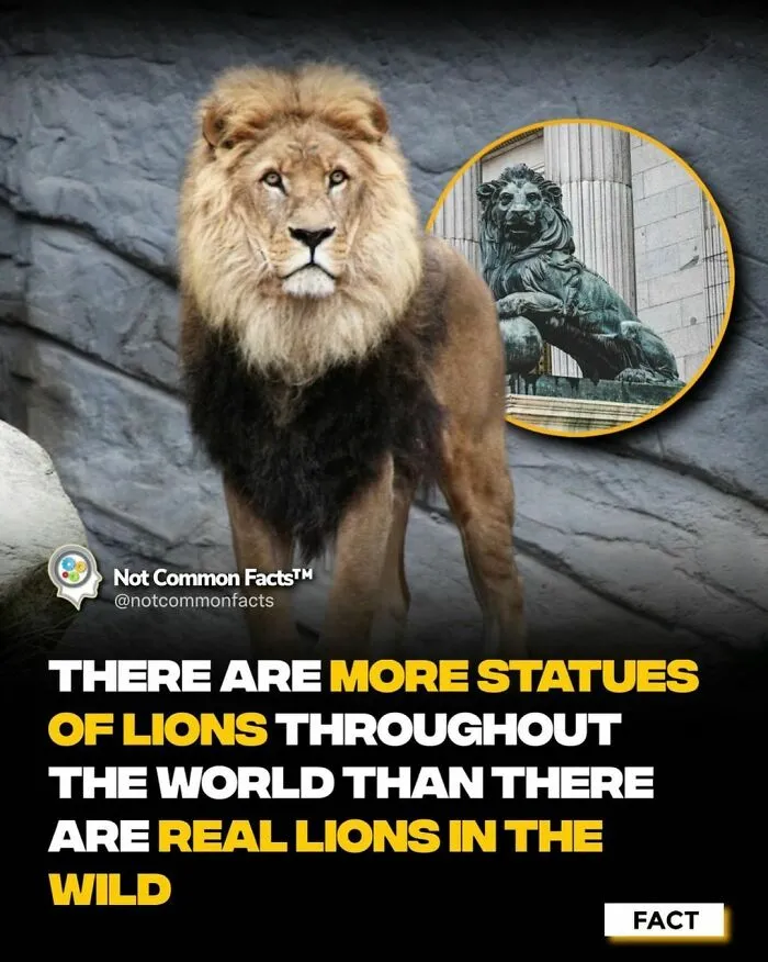 50 Facts For Those Who Are Constantly Curious About The World (New Pics)