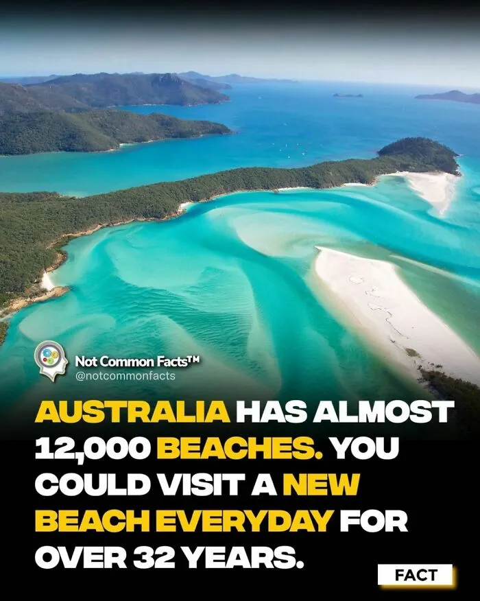 50 Facts For Those Who Are Constantly Curious About The World (New Pics)