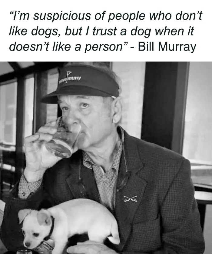 50 Hilarious Pics That Prove Why Dogs Are Man’s Best Friend