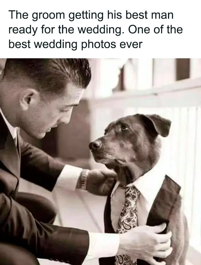 50 Hilarious Pics That Prove Why Dogs Are Man’s Best Friend