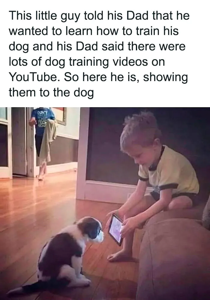 50 Hilarious Pics That Prove Why Dogs Are Man’s Best Friend