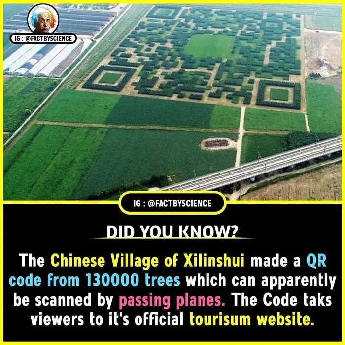 50 Cool And Interesting Facts About The World That May Be New To You