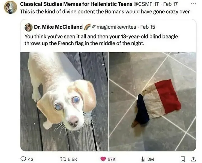 45 Hilarious Memes That Are Based On Accurate Events That Might Satisfy Your Inner Historian