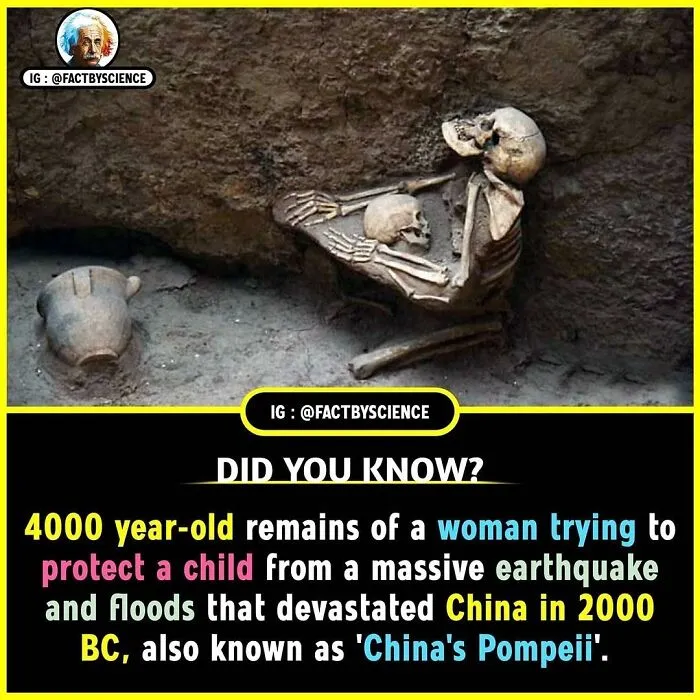 50 Cool And Interesting Facts About The World That May Be New To You