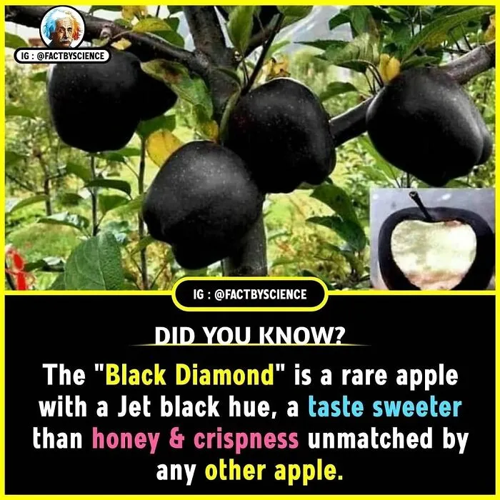 50 Cool And Interesting Facts About The World That May Be New To You