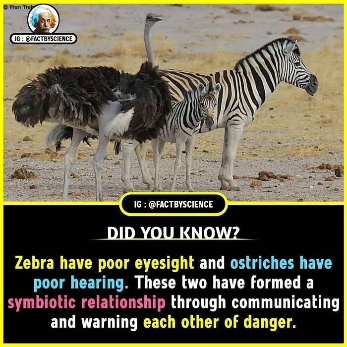 50 Cool And Interesting Facts About The World That May Be New To You