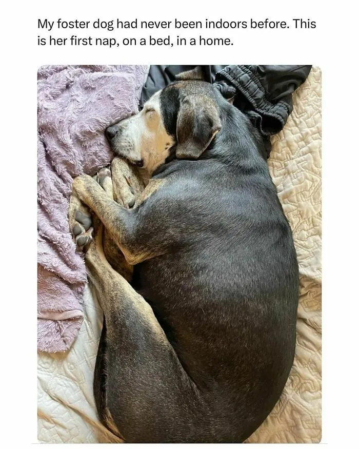 3.1M People Get Their Daily Dose Of Positivity From This IG Page, And Here Are 50 Newest Posts (New Pics)