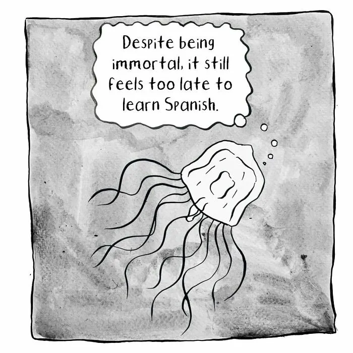 Sometimes Dark But Absolutely Funny Comics By Madeline Horwath (23 New Pics)
