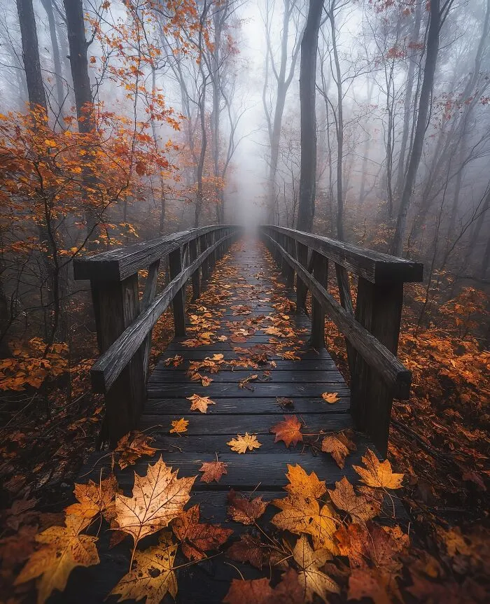 42 Landscape Images That Blur The Line Between Reality And Imagination By Daniel Greenwood
