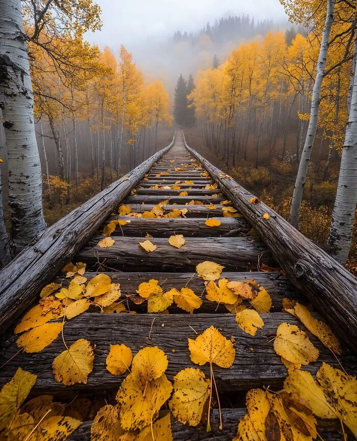 42 Landscape Images That Blur The Line Between Reality And Imagination By Daniel Greenwood