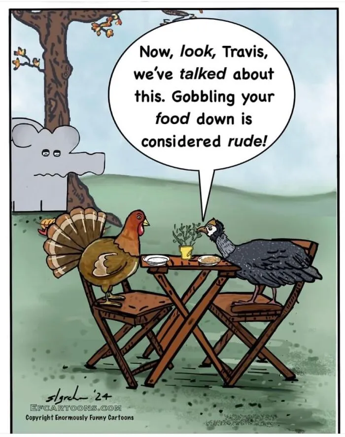 Turkey Troubles