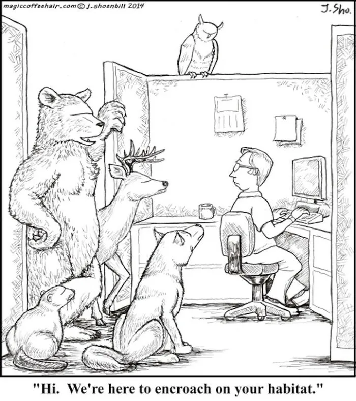 This Cartoonist Creates Single-Panel Comics Full Of Positive Humor (46 New Pics)