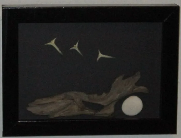 Puffer Fish Scales, Driftwood And Stone