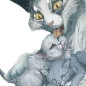 Snowkit