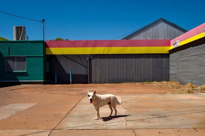 Street Scenes That Prove Beauty Is All Around Us, Captured By Jesse Marlow (30 Pics)