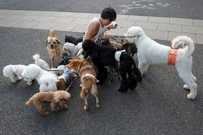 Street Scenes That Prove Beauty Is All Around Us, Captured By Jesse Marlow (30 Pics)