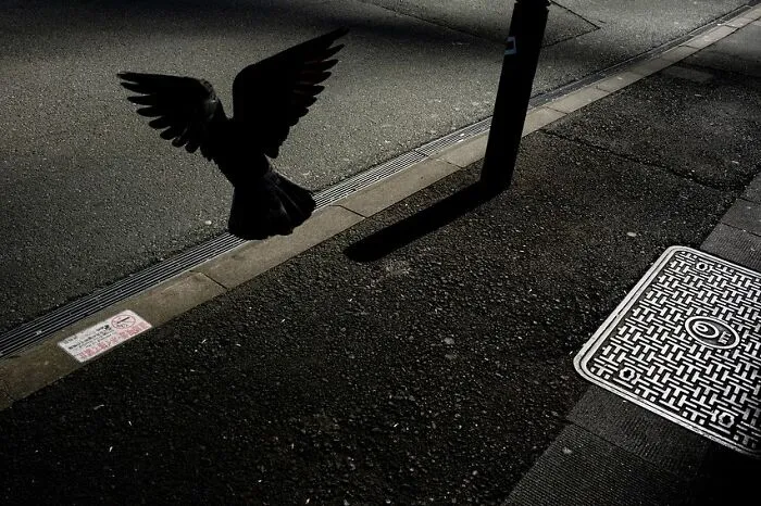 Street Scenes That Prove Beauty Is All Around Us, Captured By Jesse Marlow (30 Pics)