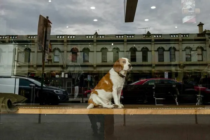 Street Scenes That Prove Beauty Is All Around Us, Captured By Jesse Marlow (30 Pics)