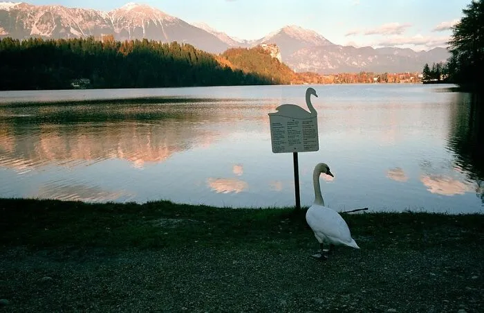 Street Scenes That Prove Beauty Is All Around Us, Captured By Jesse Marlow (30 Pics)