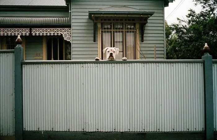 Street Scenes That Prove Beauty Is All Around Us, Captured By Jesse Marlow (30 Pics)