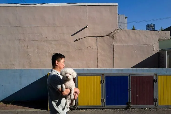 Street Scenes That Prove Beauty Is All Around Us, Captured By Jesse Marlow (30 Pics)