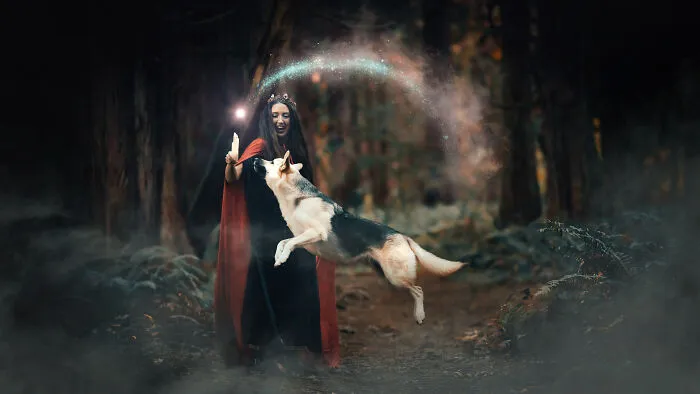 I Photographed A Fairytale-Inspired, Witchy Dog Session Inspired By Red Riding Hood (15 Pics)