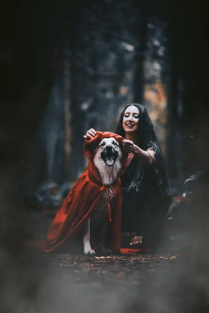 I Photographed A Fairytale-Inspired, Witchy Dog Session Inspired By Red Riding Hood (15 Pics)