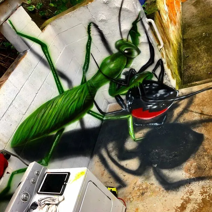 Artist Creates 3D Murals That Practically Jump Off The Wall (20 Pics)