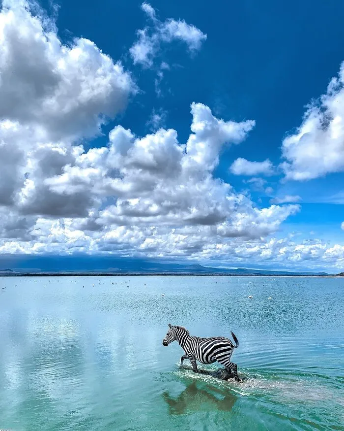 67 Incredible Shots By Indian Wildlife Photographer, Varun Aditya