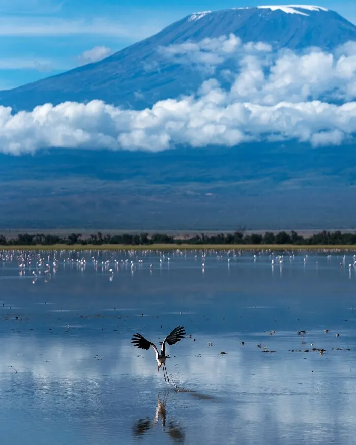67 Incredible Shots By Indian Wildlife Photographer, Varun Aditya