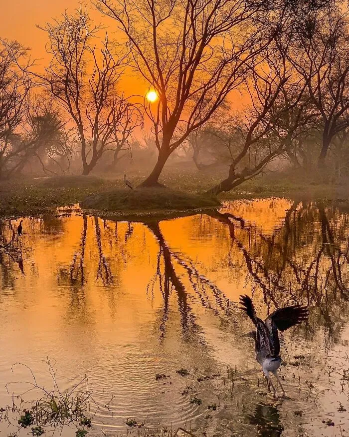 67 Incredible Shots By Indian Wildlife Photographer, Varun Aditya