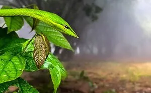 67 Incredible Shots By Indian Wildlife Photographer, Varun Aditya