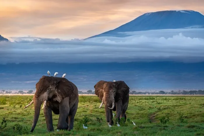 67 Incredible Shots By Indian Wildlife Photographer, Varun Aditya
